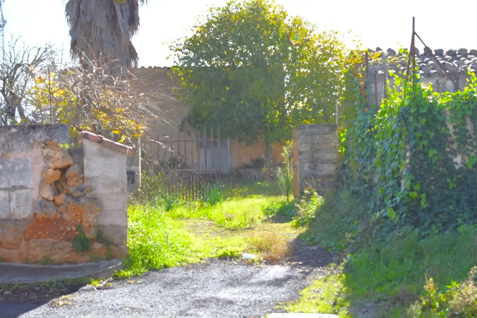 Residential land for sale in Llubí, imagen 4