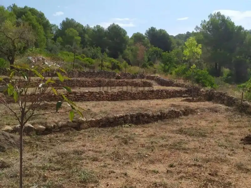 Rustikales Grundstück zum Verkauf in Cami Pedrera 4, imagen 15