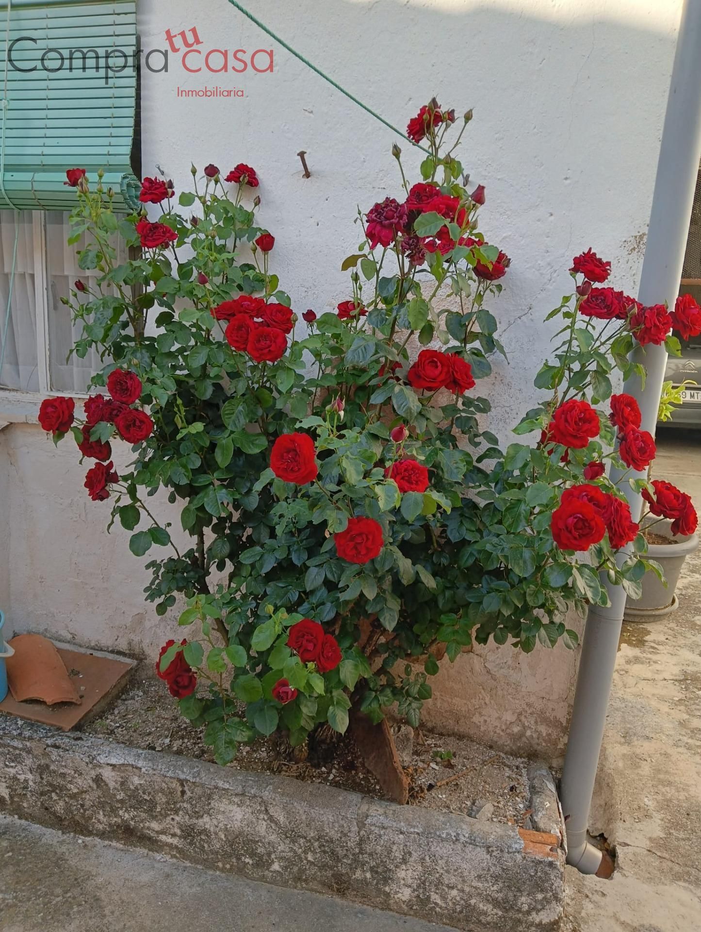 Jardín de Finca rústica en venta en Sepúlveda con Trastero y Amueblado