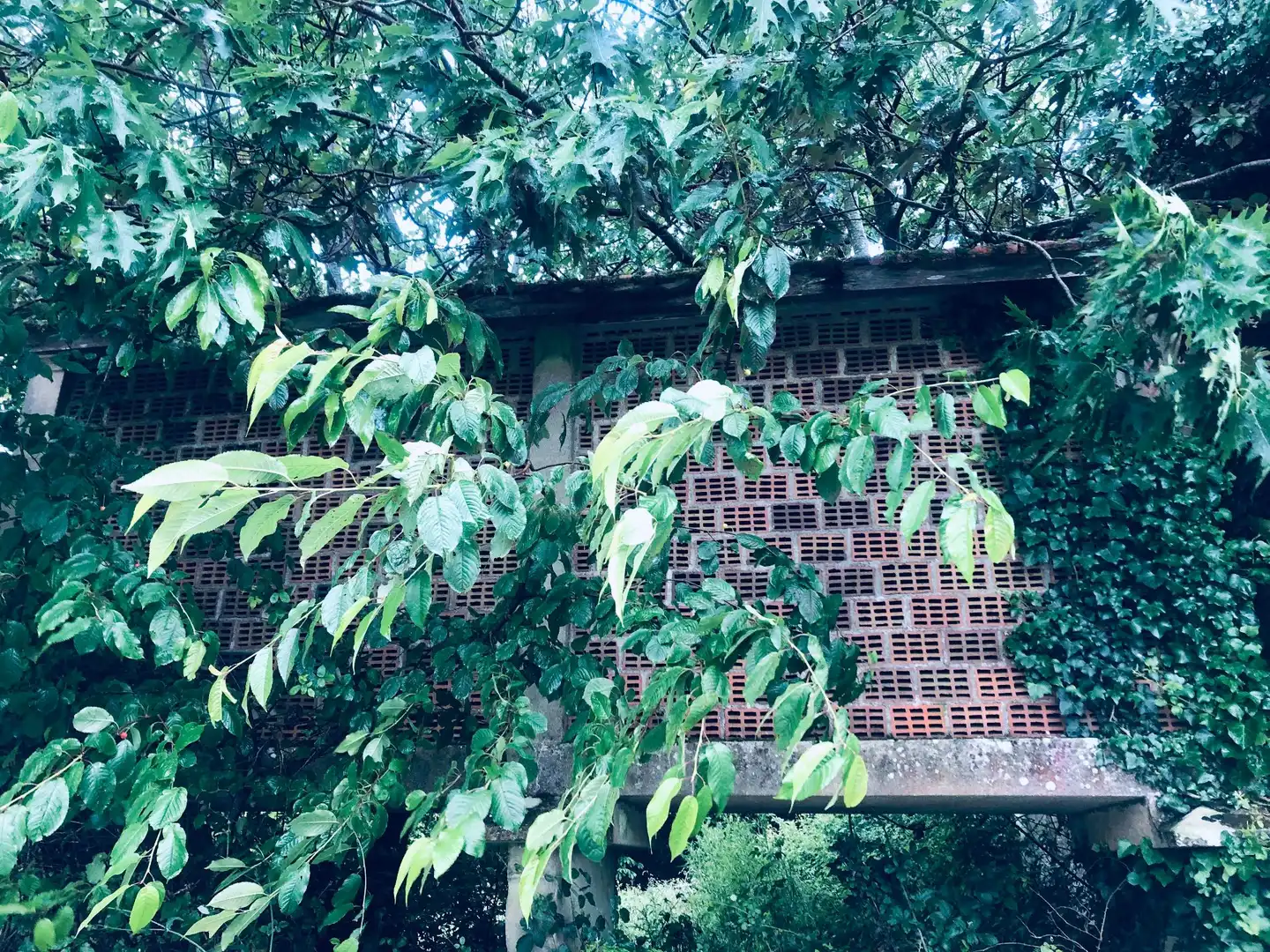 Maison rustique avec jardin à vendre à Lalín, imagen 5