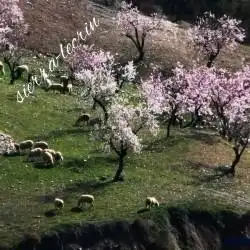 Vista exterior de Finca rústica en venda en Lecrín amb Aire condicionat i Calefacció