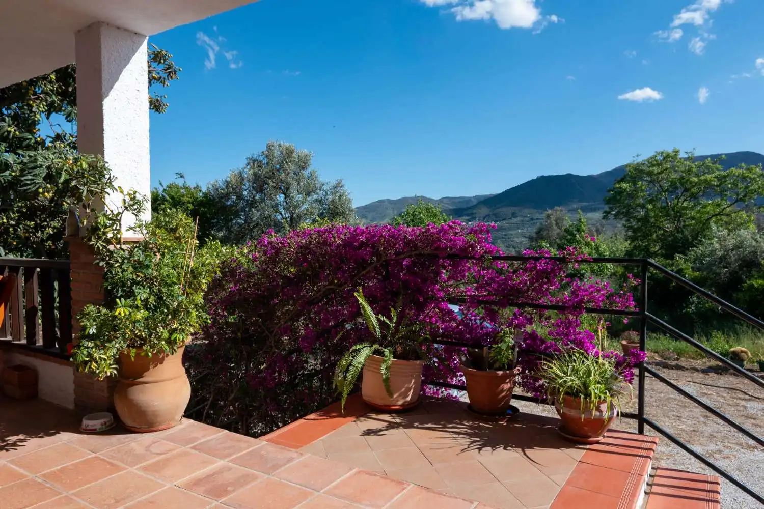 Terraza de Casa o chalet en venta en Lecrín con Terraza y Trastero