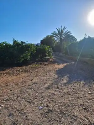 Terrain rustique à vendre à Terrenos MARXUQUERA  ALTA, imagen 18