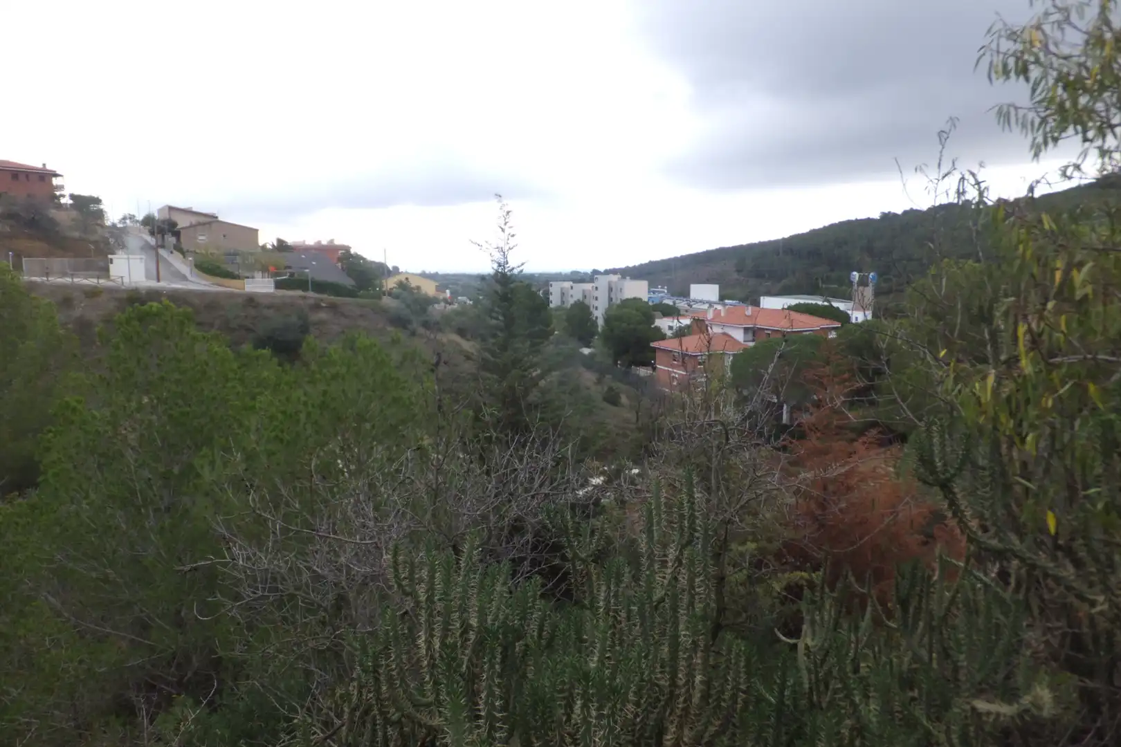 Terreno rustico in vendita a Carrer de Catalunya 23, imagen 12