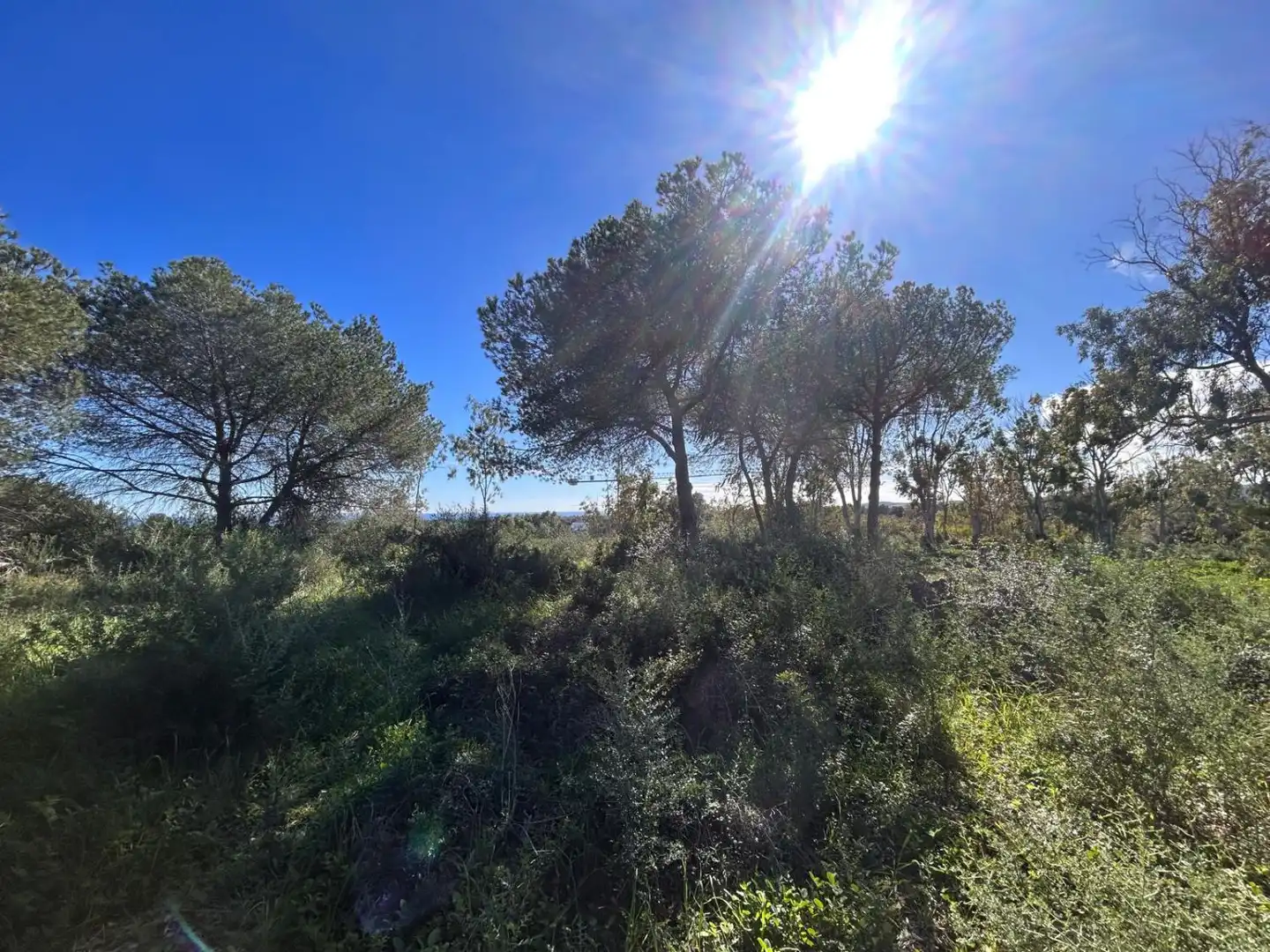 Terrenys i solars en venda a LA RESERVA DE SOTOGRANDE, imagen 2