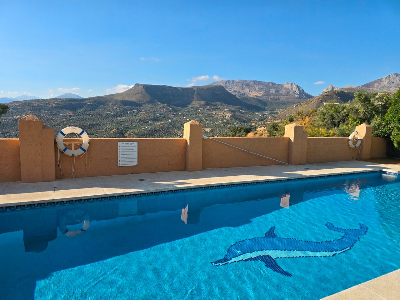Swimming pool of Country house for sale in Alcaucín
