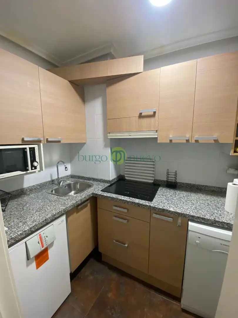 Kitchen of Apartments for rent in León Capital   with Heating, Storage room and Furnished
