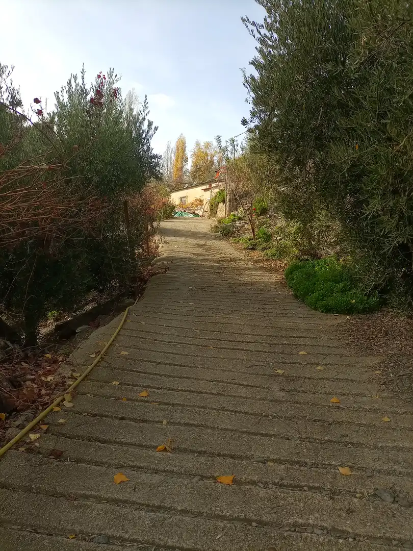 Terreny rústic en venda a Alpujarra de la Sierra, imagen 3