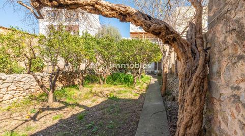 Photo 4 of House or chalet for sale in Calle Son Amengual, Alaró, Illes Balears