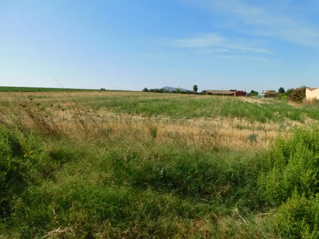 Terrain rustique à vendre à Don Benito, imagen 4