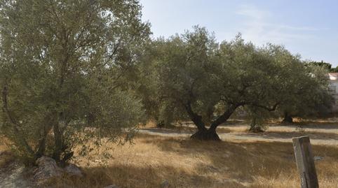 Foto 4 de Residencial en venda a Calle Proverbios, 4, Campanillas, Málaga