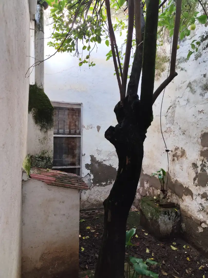 Casa con terrazza in vendita a Calle Ancha 8, imagen 47
