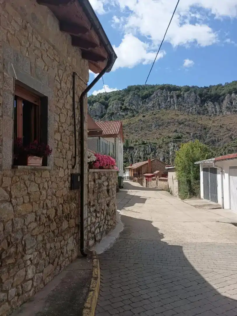 Vista exterior de Planta baja en venta en La Pola de Gordón 
