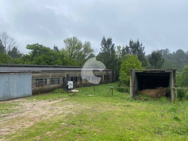 Nave industrial en Venta en valoiro en Lobios