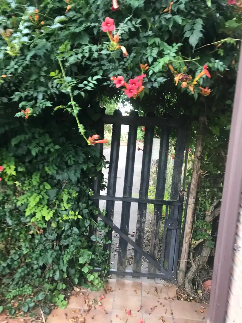 Jardín de Finca rústica de alquiler en Navarrete con Calefacción, Jardín privado y Parquet