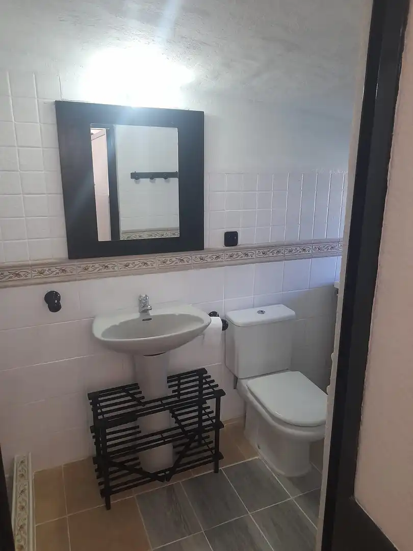 Baño de Casa o chalet en venta en Brenes con Aire acondicionado, Jardín privado y Piscina