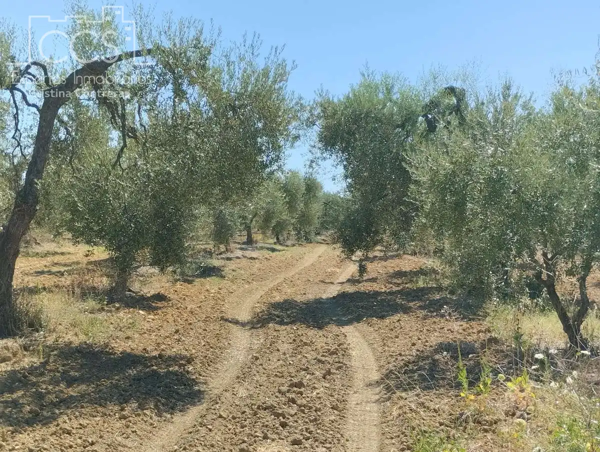 Terreni e lotti in vendita a Almonte ciudad, imagen 21