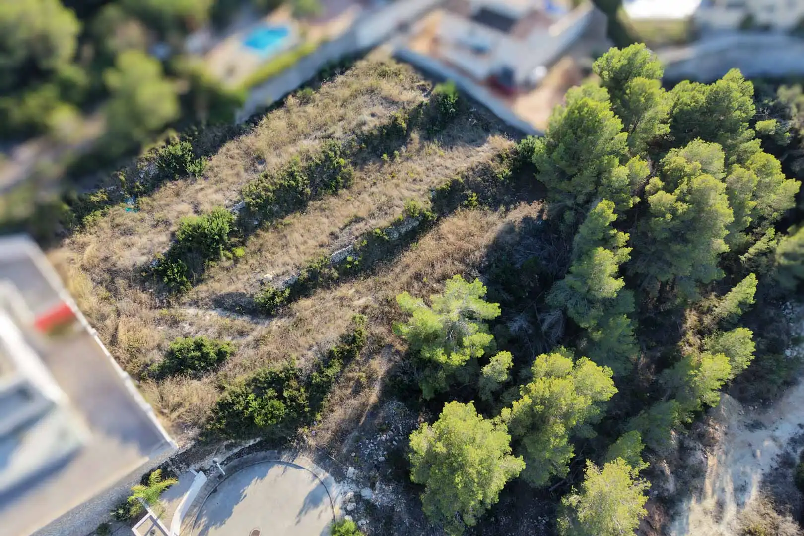 Rural land for sale in Casco Urbano, imagen 7