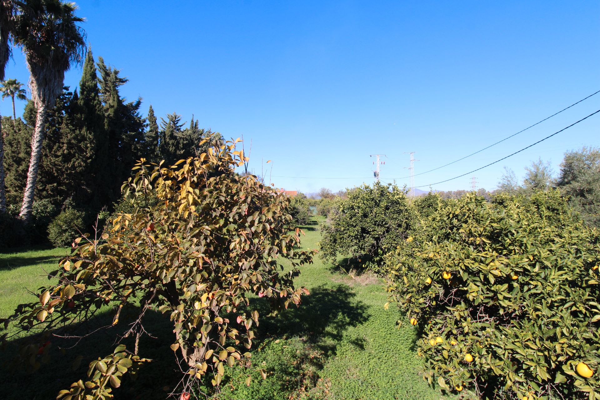 Finca rústica en venda en Alhaurín de la Torre amb Aire condicionat, Calefacció i Jardí privat