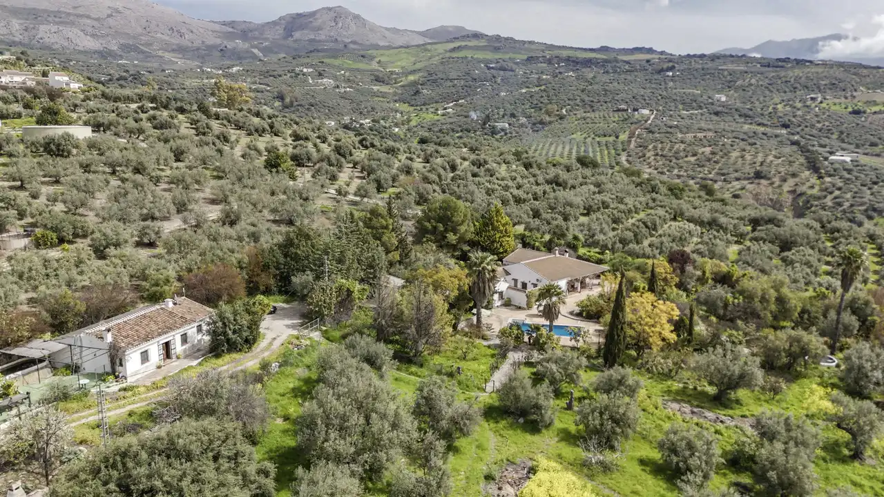 Casa o chalet en venta en Periana