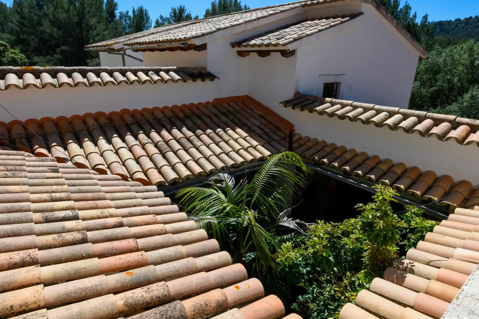 Vista exterior de Casa o chalet en venta en  Palma de Mallorca con Aire acondicionado, Calefacción y Jardín privado