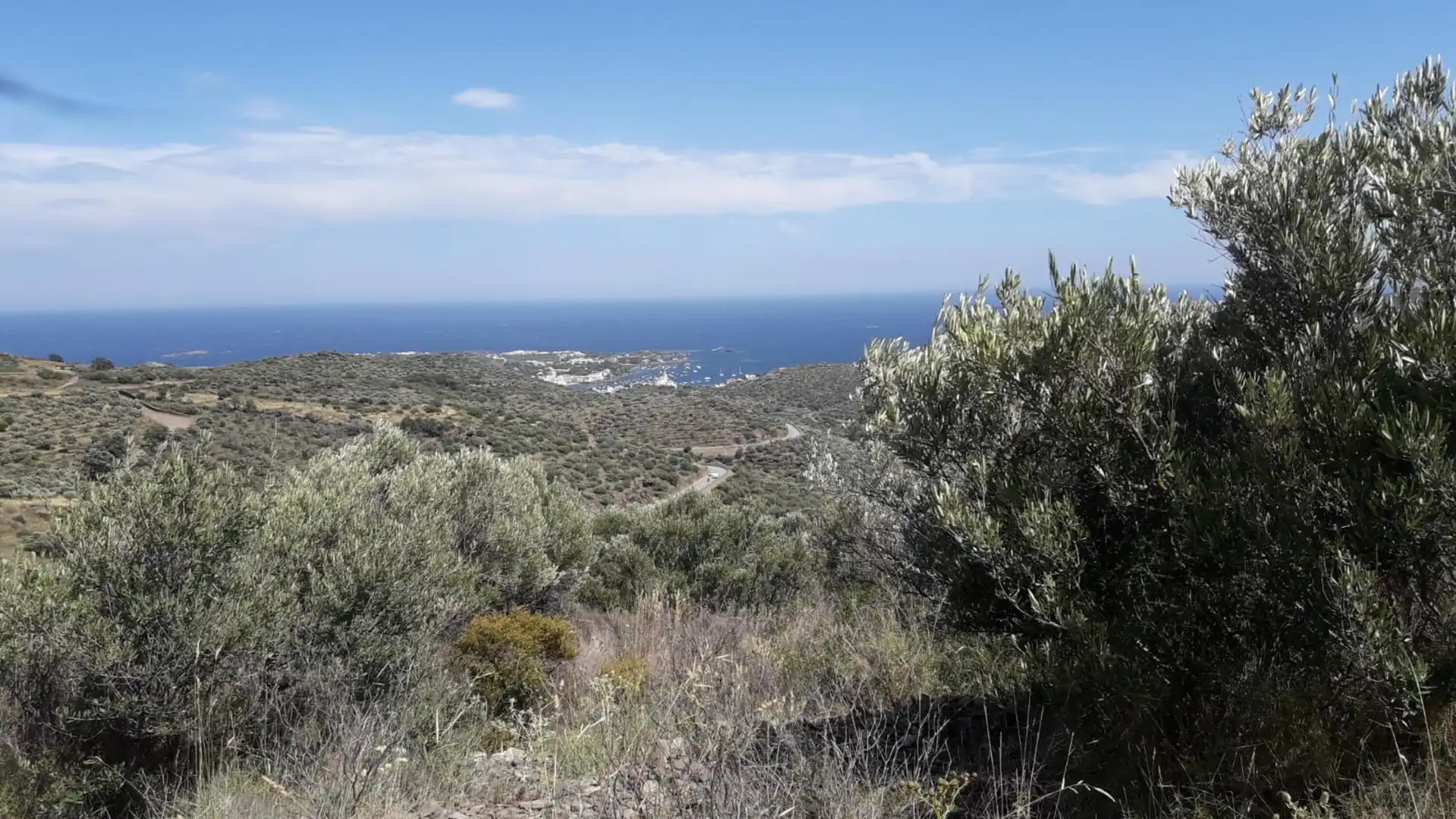 Lands and plots for sale in Ses Closes, imagen 9