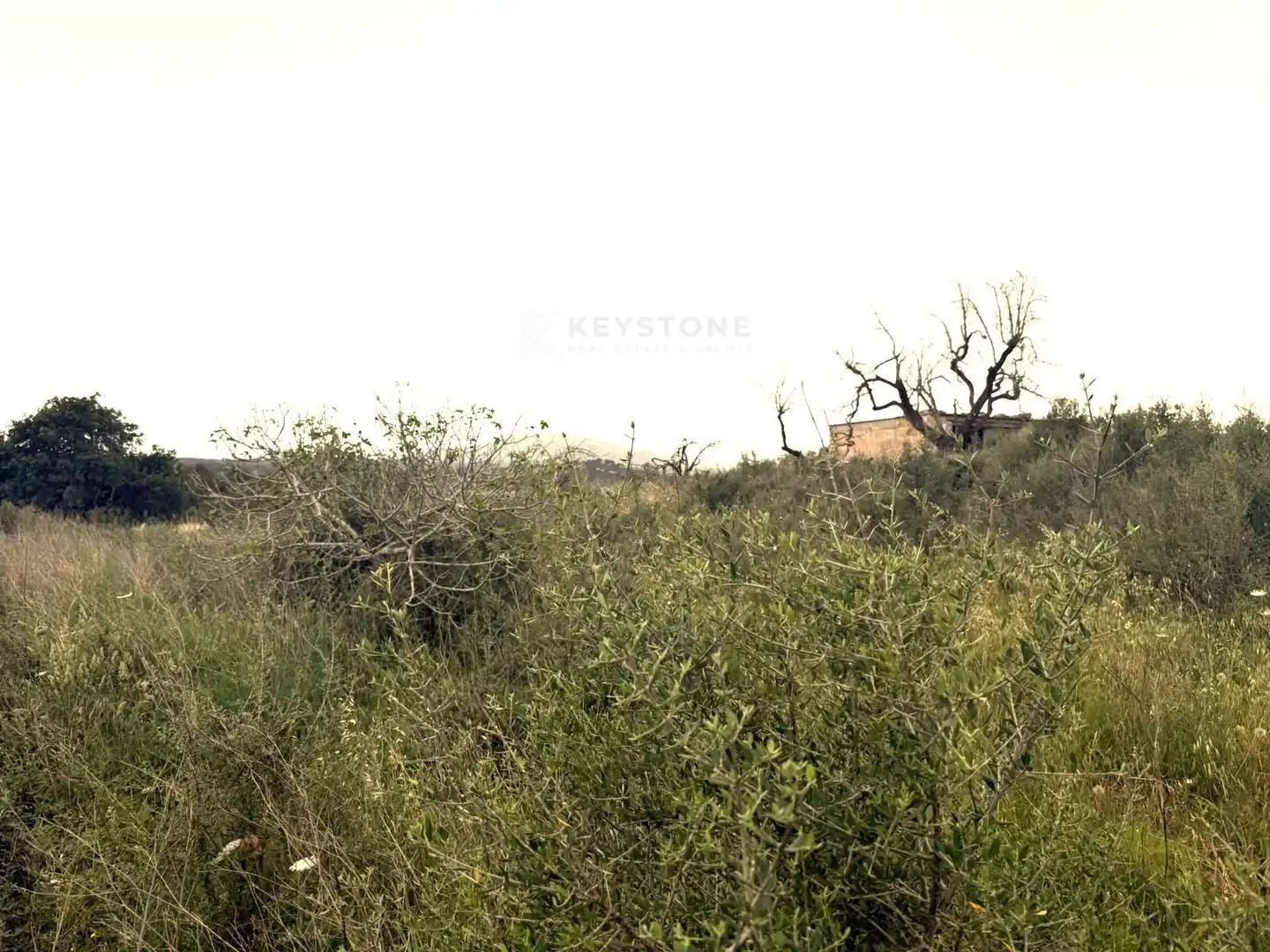 Terreny residencial en venda a N/A, imagen 10