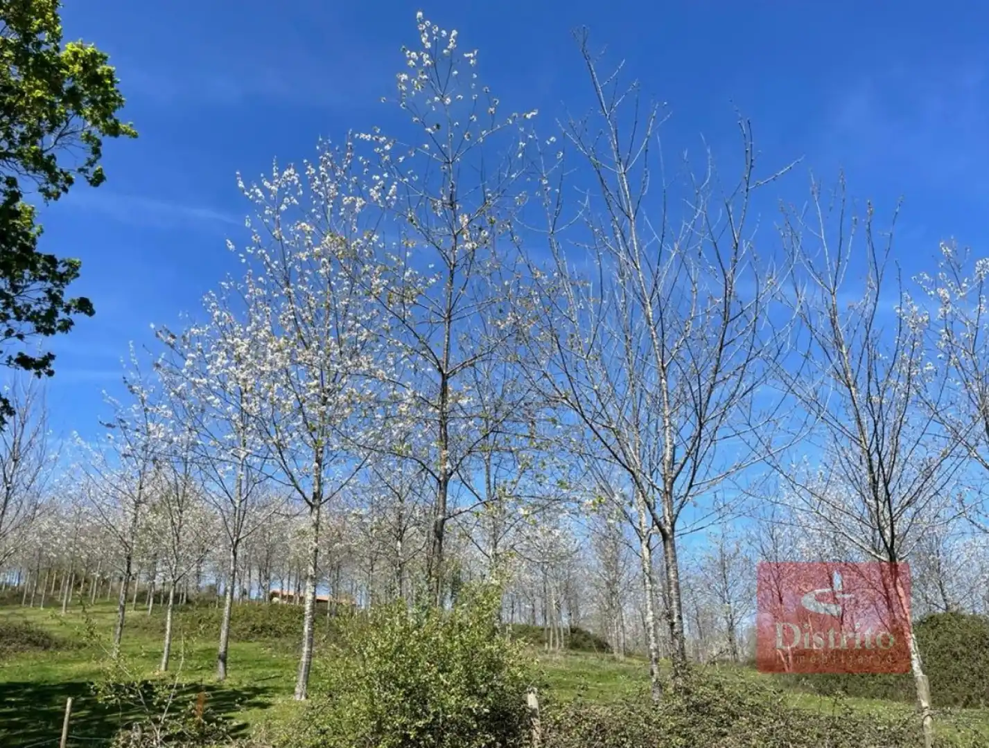 Terreni e lotti in vendita a Valdáliga - barrio la herrería, imagen 8