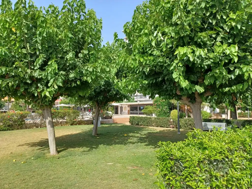 Apartament de lloguer a Cabrera de Mar