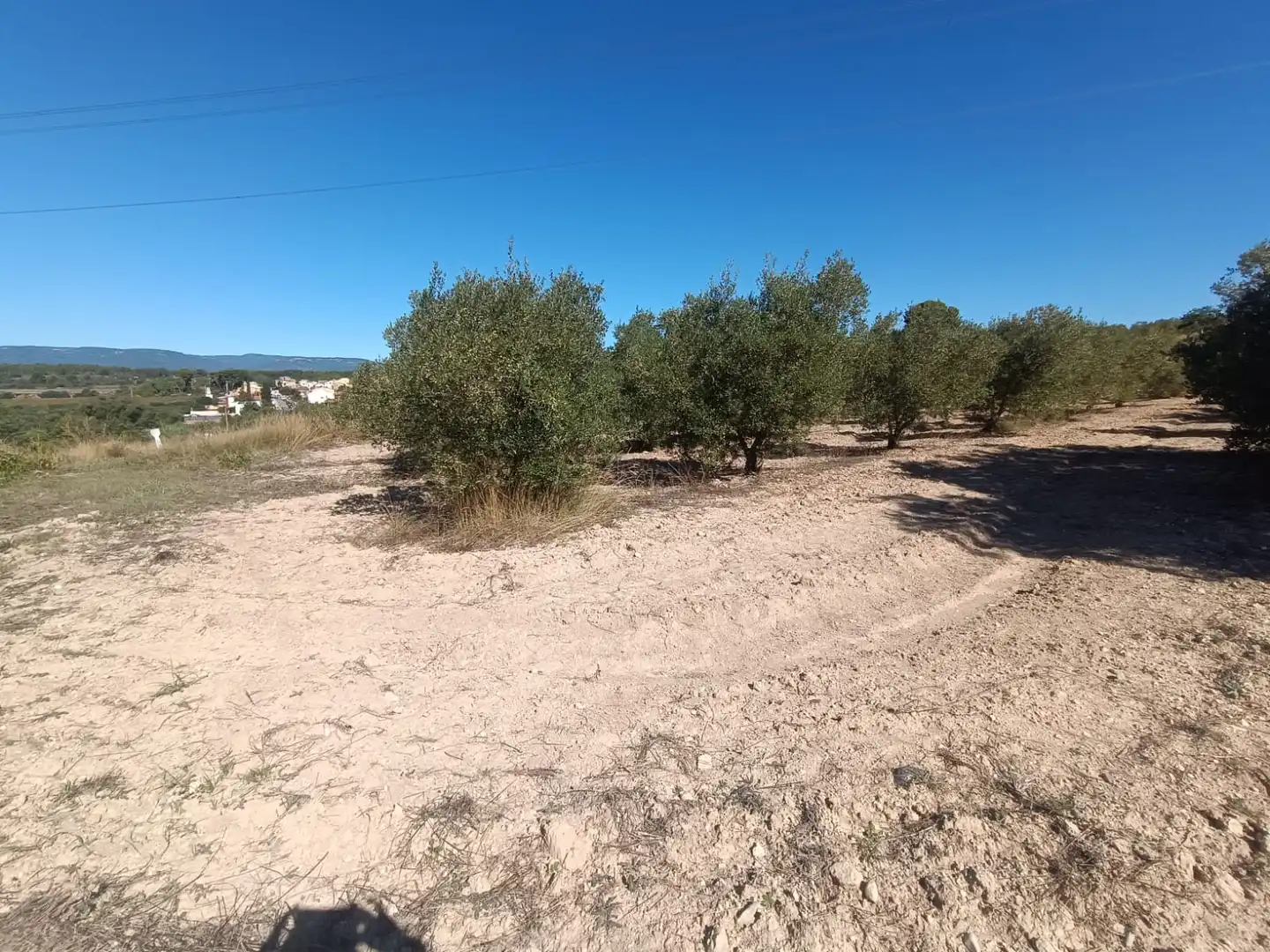 Terreny rústic en venda a La Secuita, imagen 3