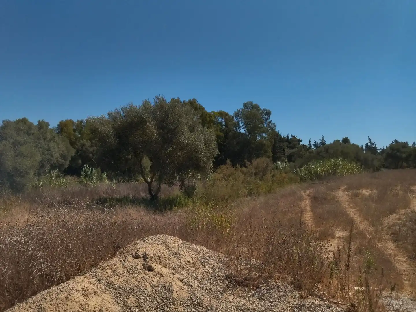 Terreno en venta en Vejer de la Frontera