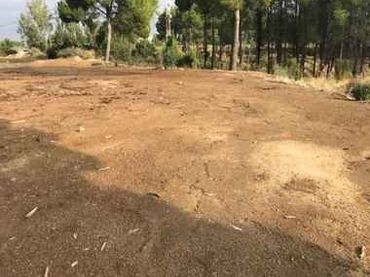 Terreno rustico in vendita a Carrer B Cerdera Alta 1