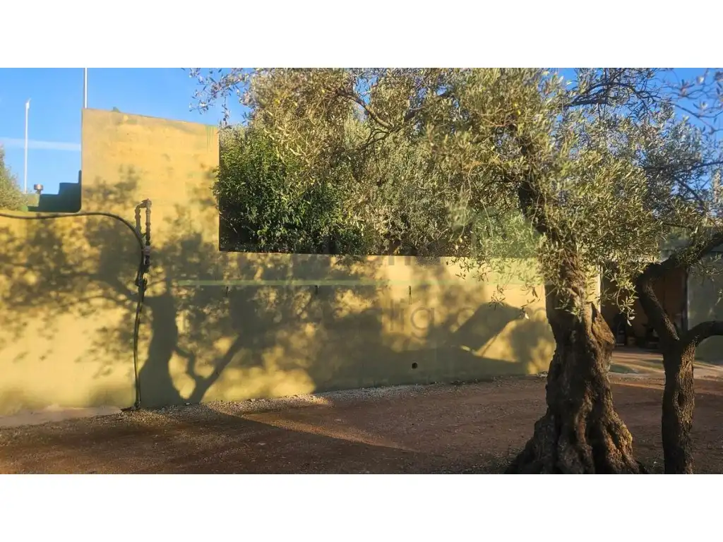 Vista exterior de Finca rústica en venta en Canet lo Roig con Jardín privado