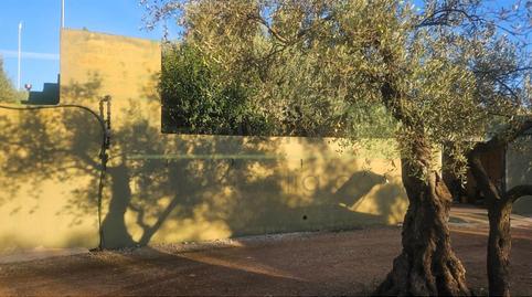 Foto 3 de Finca rústica en venda a Canet lo Roig, Castellón