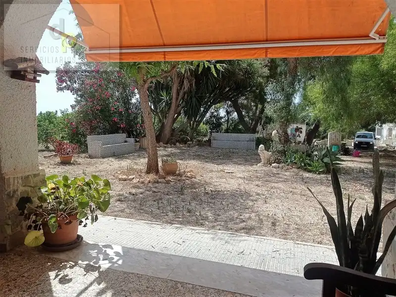 Jardí de Casa o xalet en venda en Elche / Elx amb Jardí privat, Terrassa i Traster