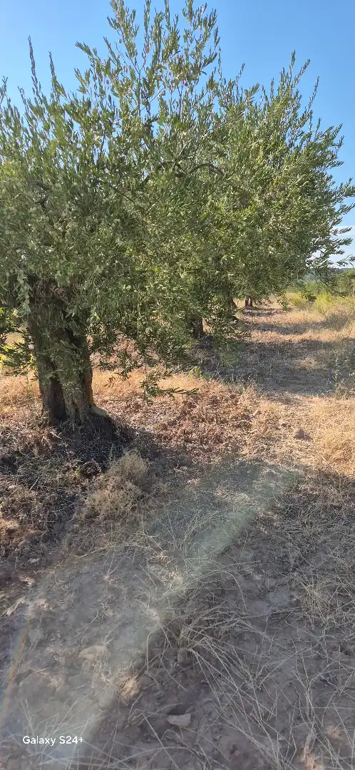 Terreno rústico en venta en Murillo de Río Leza