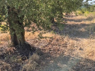 Rustikales Grundstück zum Verkauf in Murillo de Río Leza