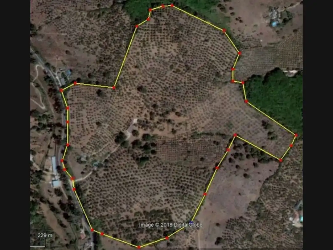 Land for sale in Constantina