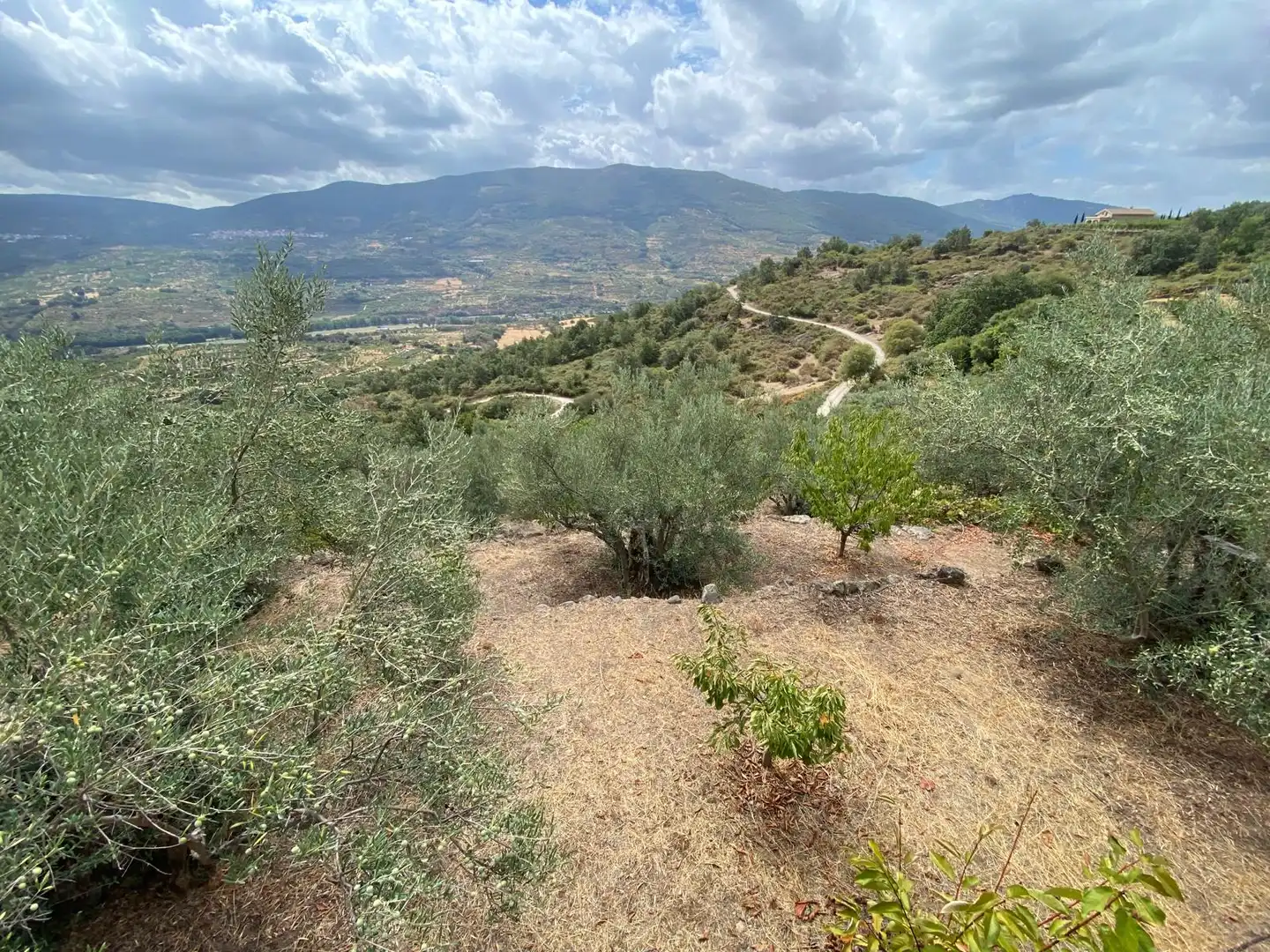 Terrain rustique à vendre à N/A, imagen 10