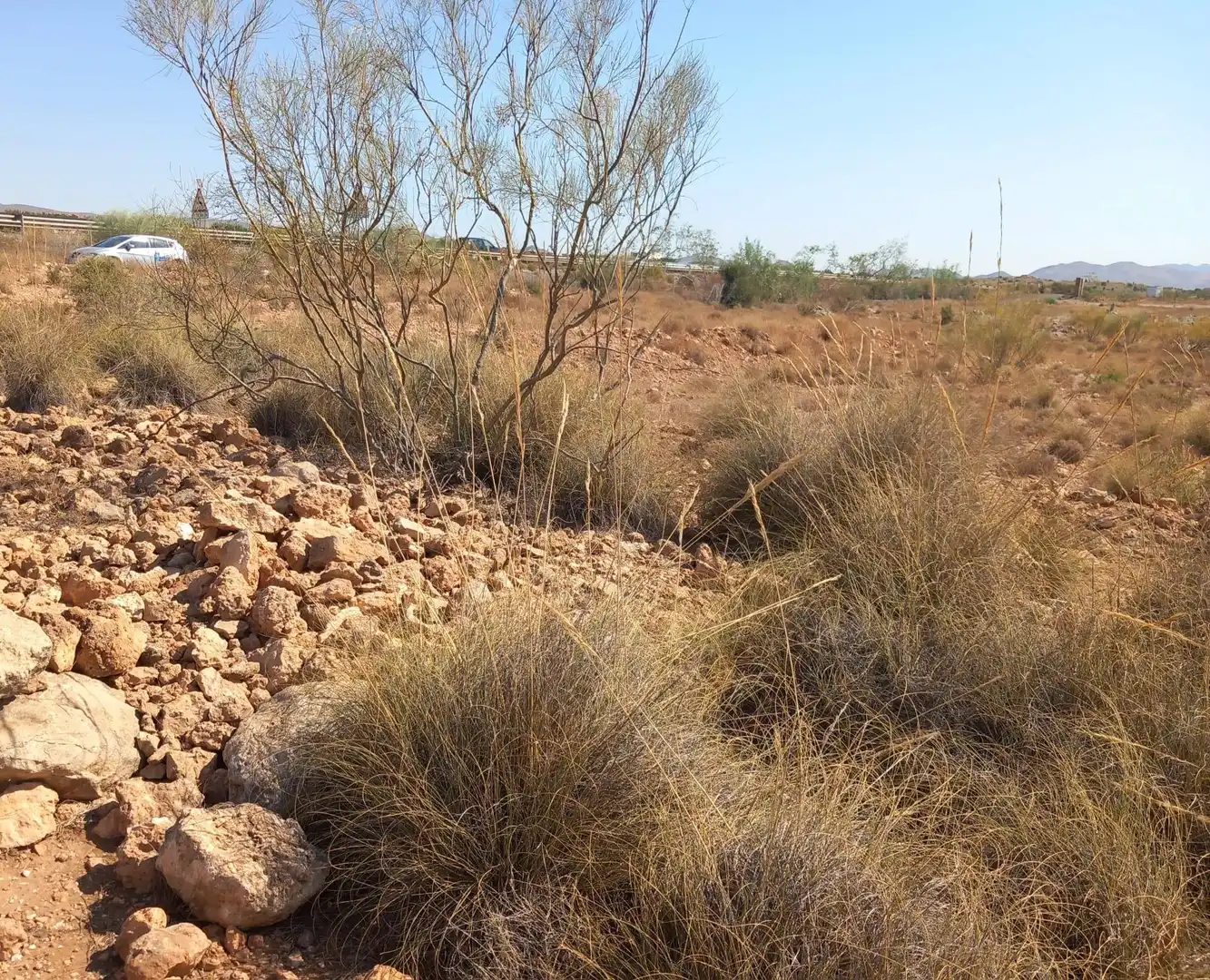 Terreny rústic en venda a San Isidro - Campohermoso, imagen 13
