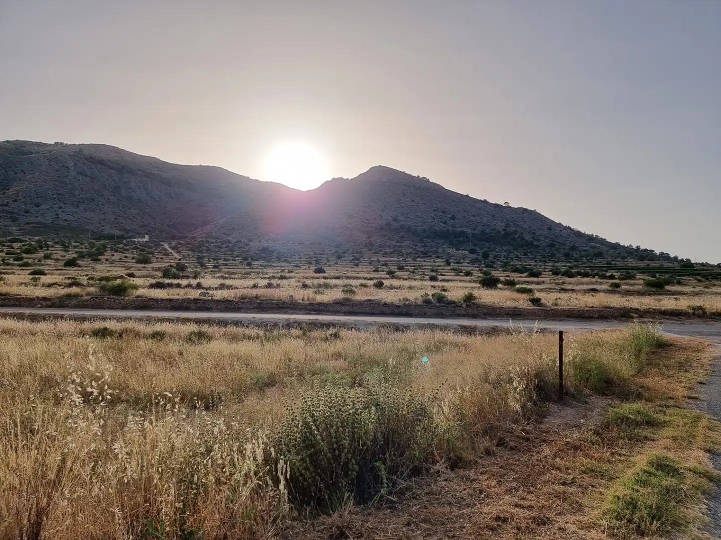 Land for sale in Aspe