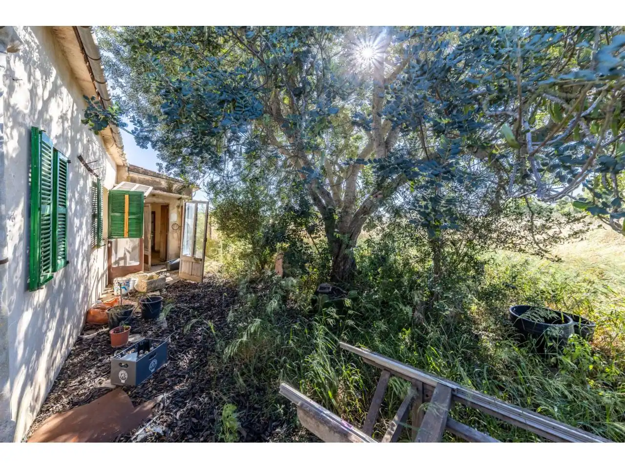 Terreno rustico in vendita a Llucmajor pueblo, imagen 46