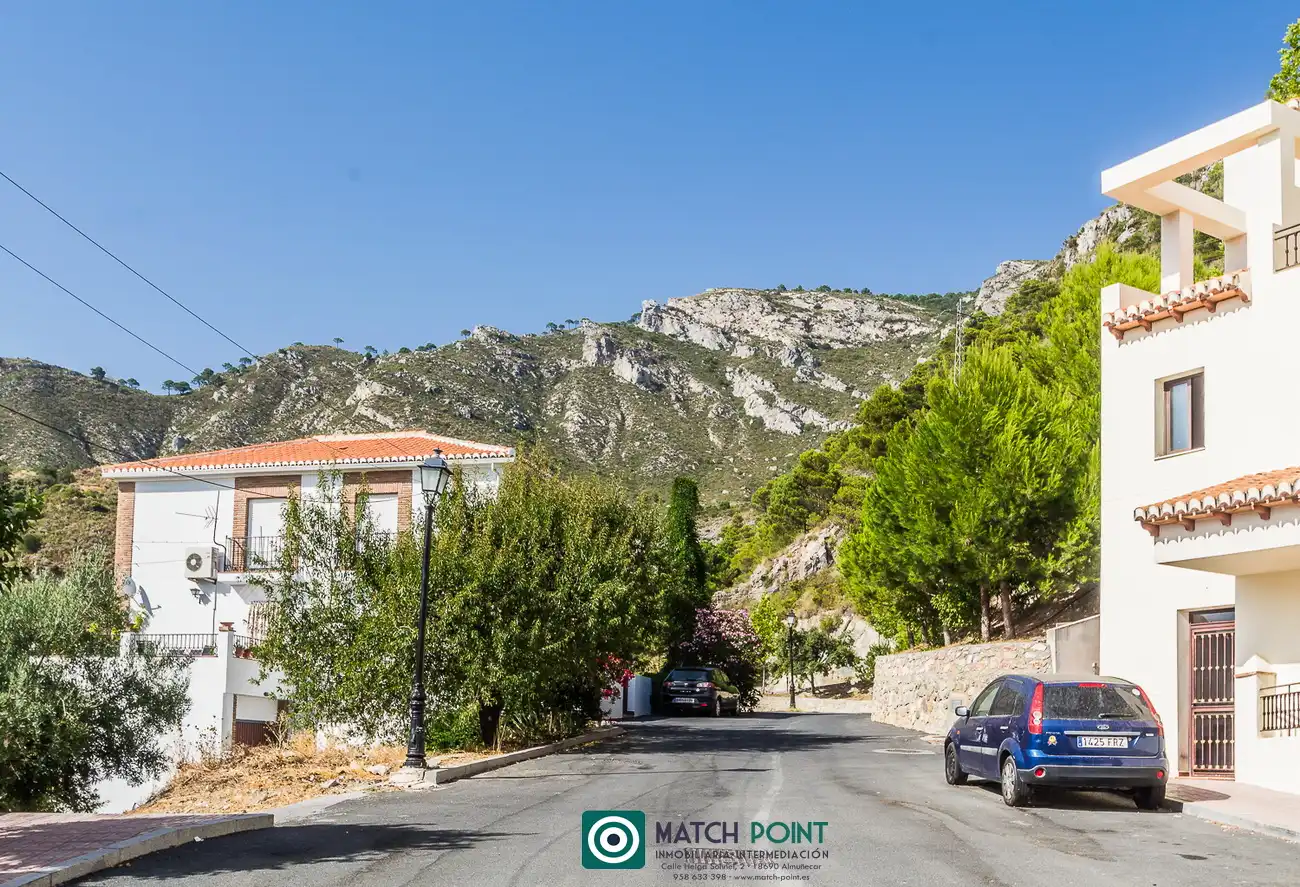Planta baixa de lloguer a Calle Francisco Ruiz Aneas, Lentegí