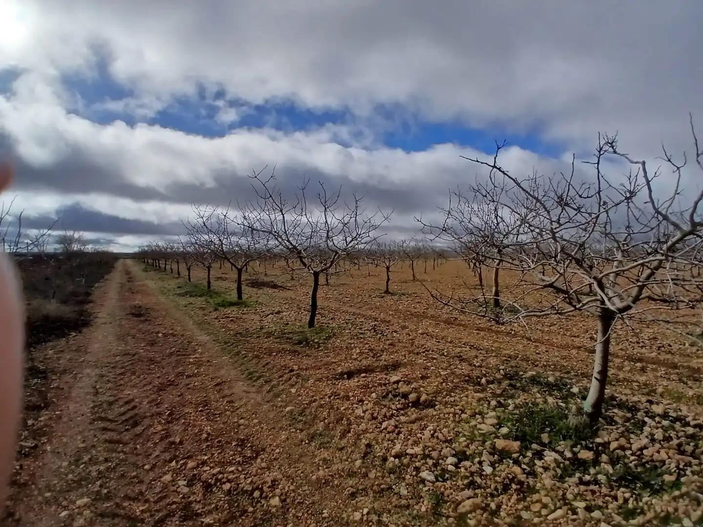 Rural land for sale in Carretera Solana, imagen 30