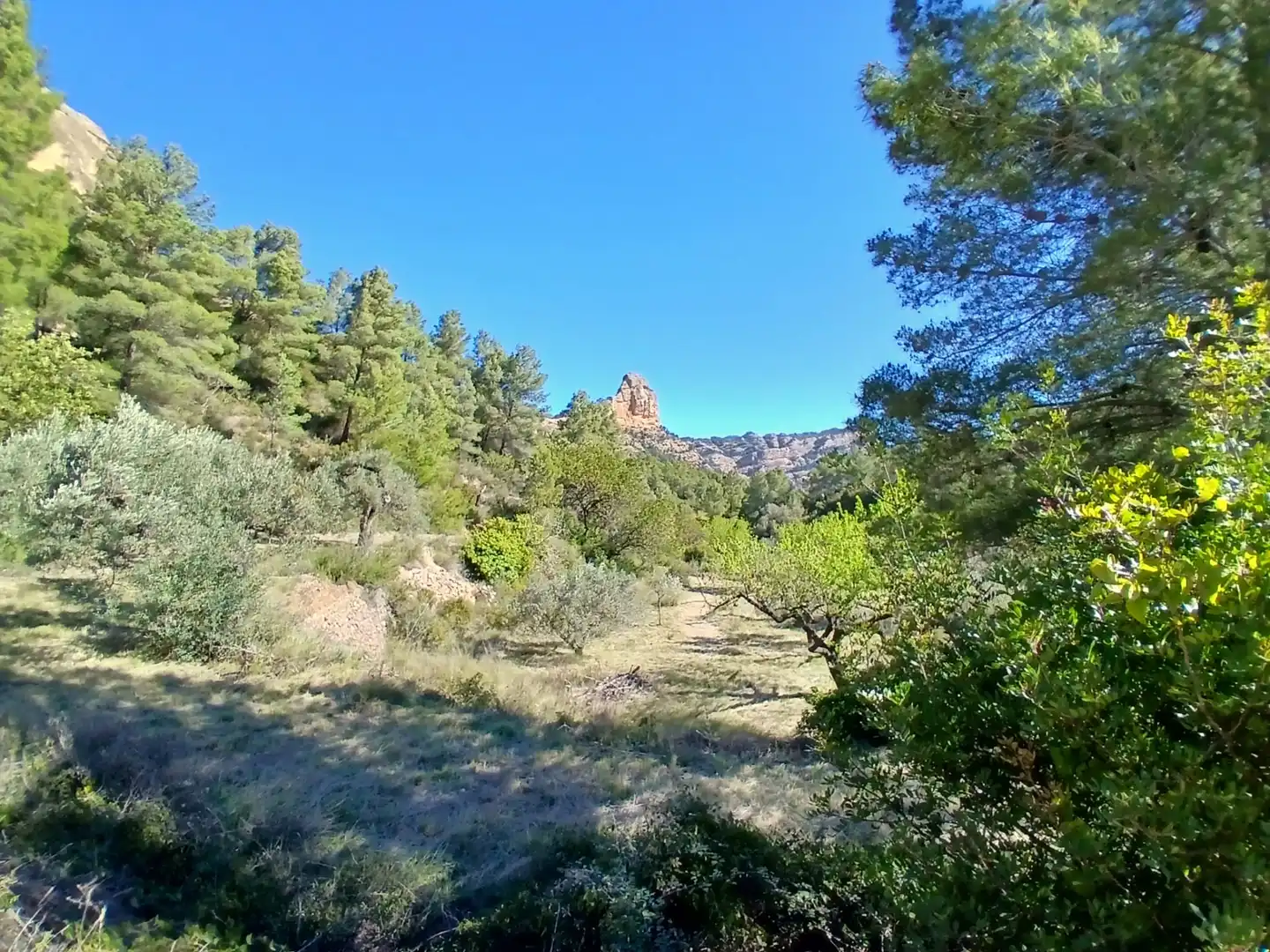 Land for sale in Prat de Comte
