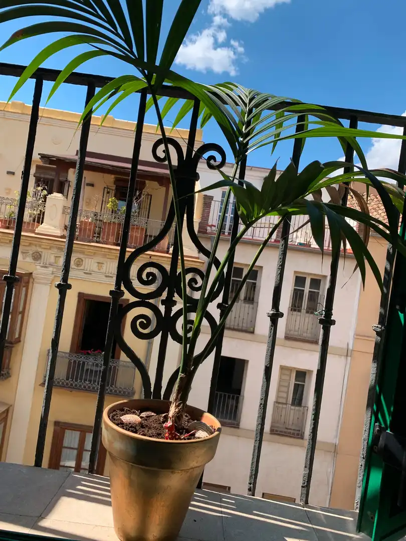Terraza de Piso de alquiler en Málaga con Aire acondicionado, Amueblado y Lavadora