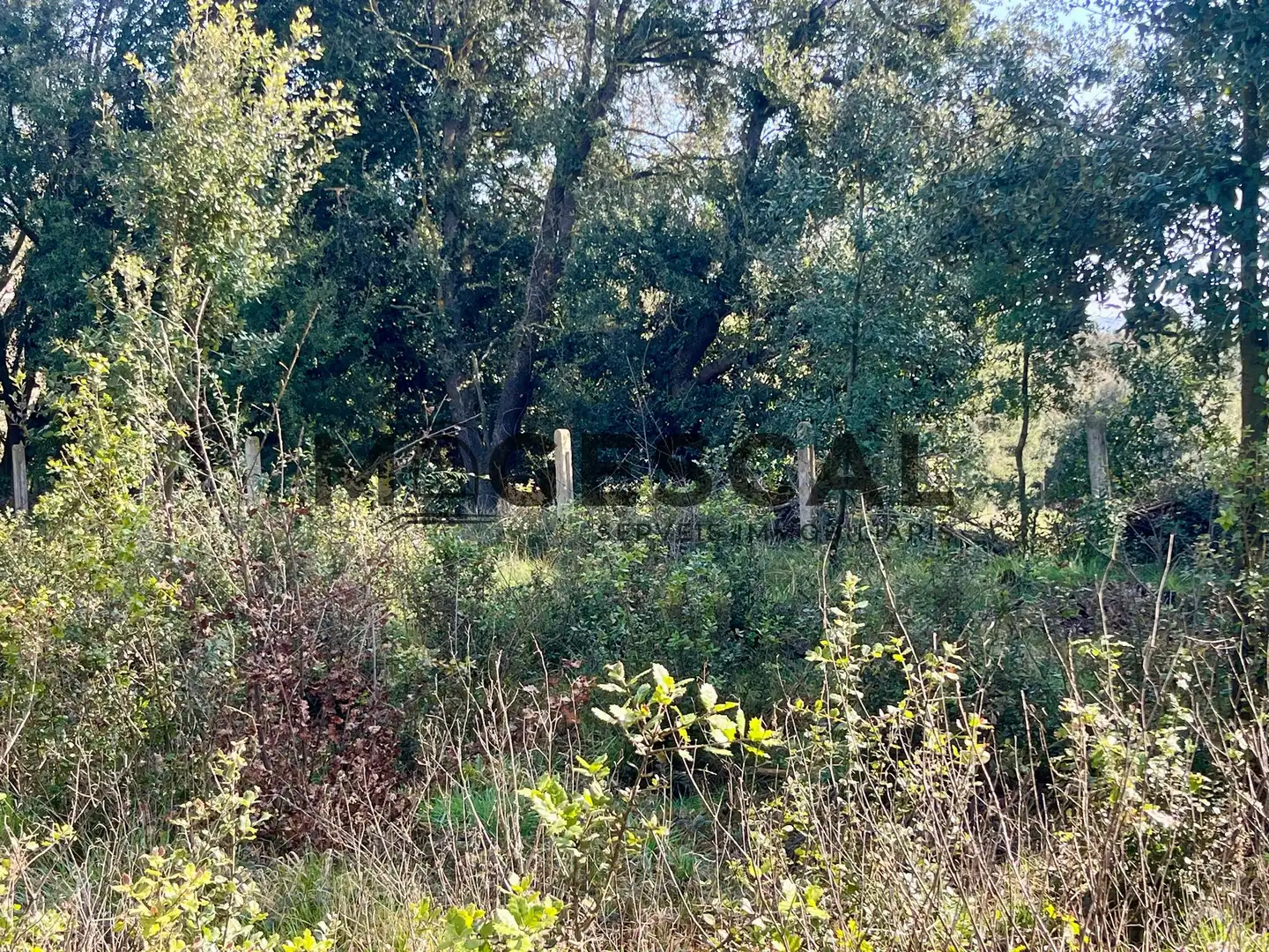 Terrenys i solars en venda a LLUIS BADO, imagen 29