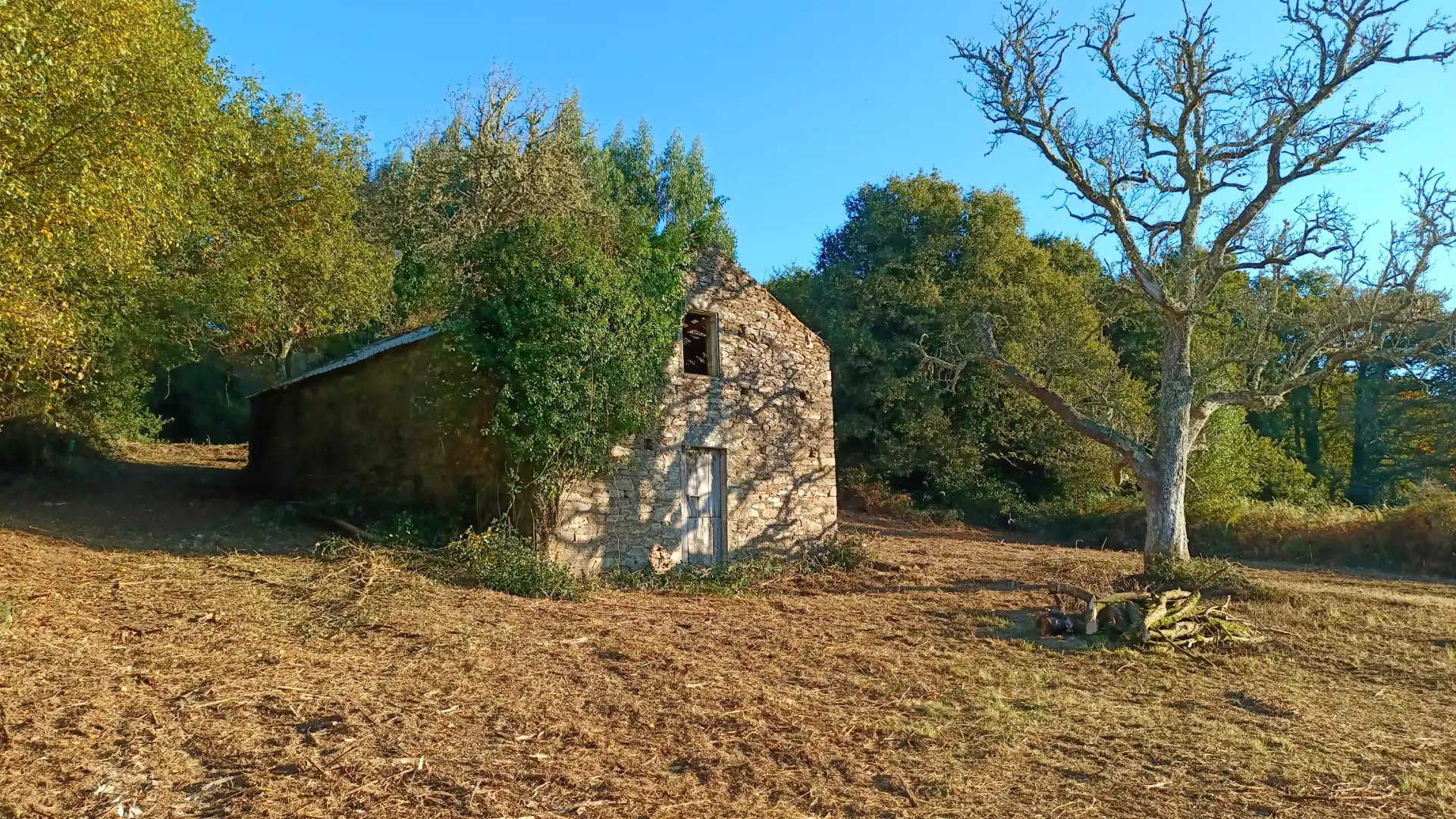 Terreni e lotti in vendita a Vilalba, imagen 4