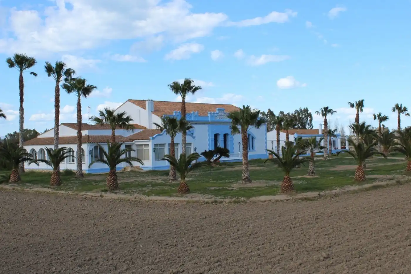 Villa avec terrasse à vendre à Deltebre, imagen 5