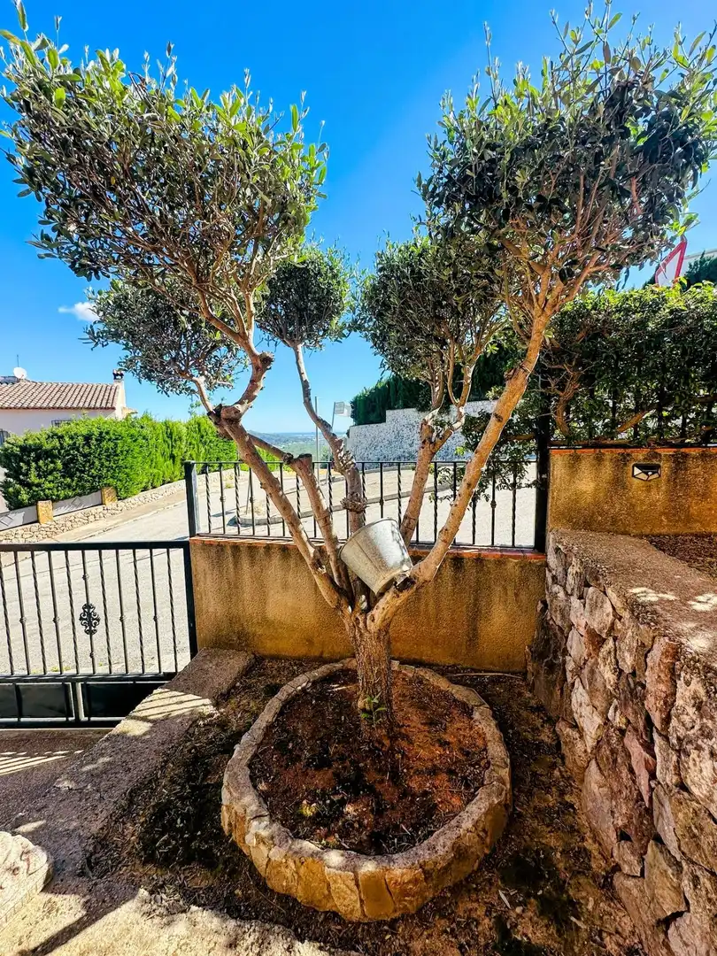 Jardín de Casa o chalet en venta en Ador con Aire acondicionado, Calefacción y Jardín privado